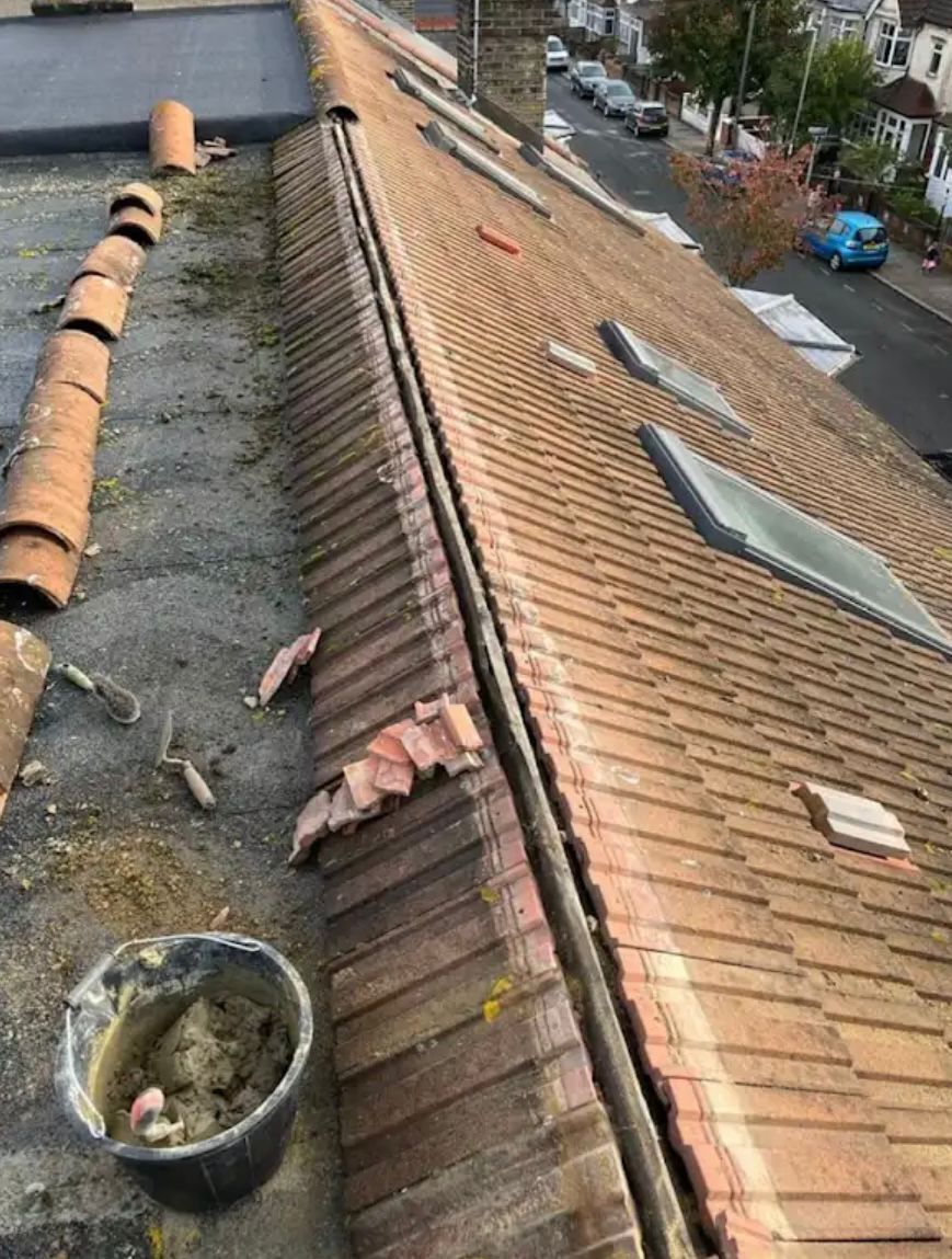 WhatsApp Image 2026-01-18 at 1.38.34 AM