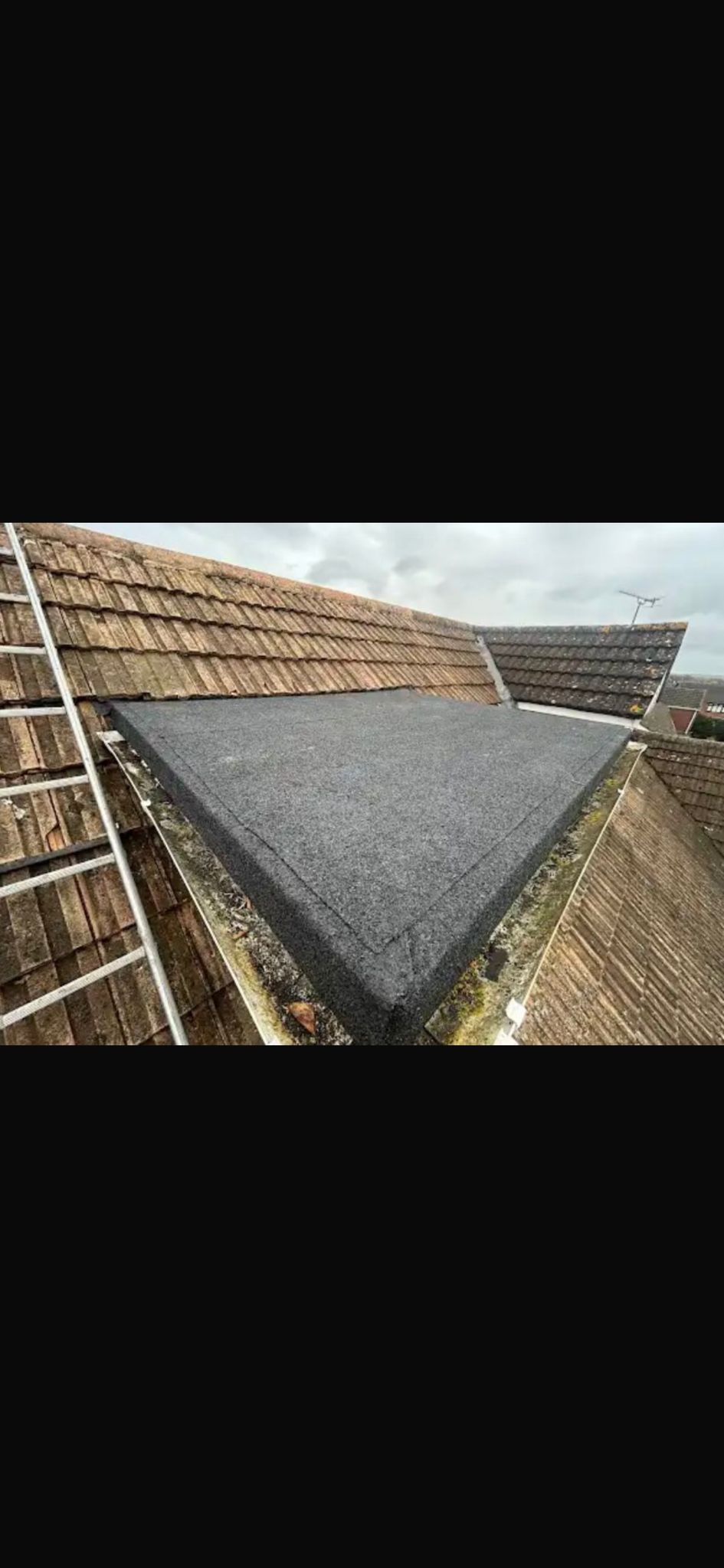 WhatsApp Image 2026-01-25 at 3.41.43 2